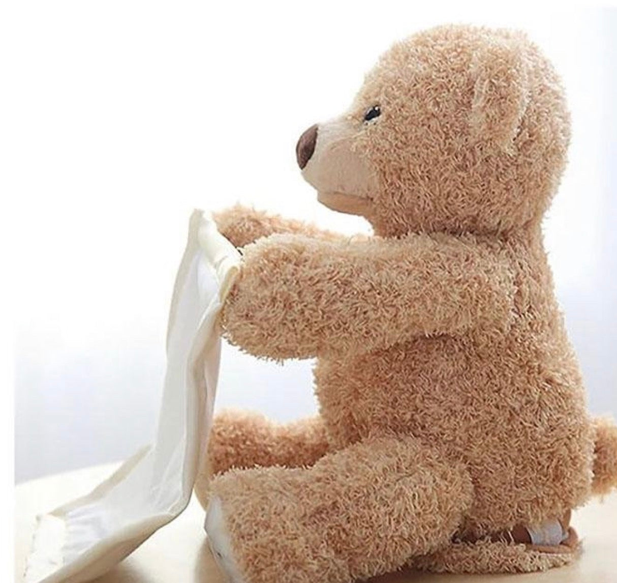 Meda koji govori igračka za decu, Plišani meda skrivalica
