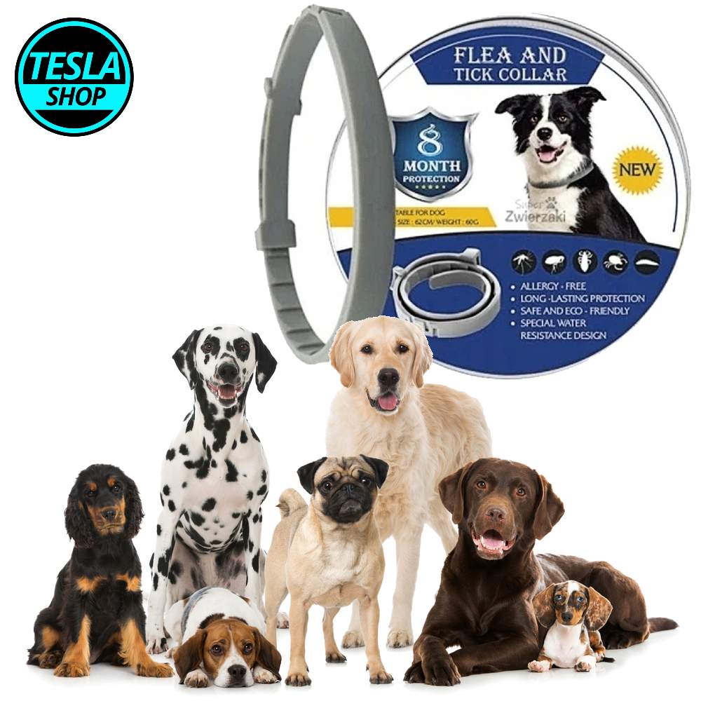 Ogrlica za pse protiv buva i krpelja